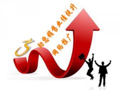 寧波網站排名優化案例